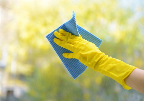 Southfields Carpet Cleaners team providing professional carpet care