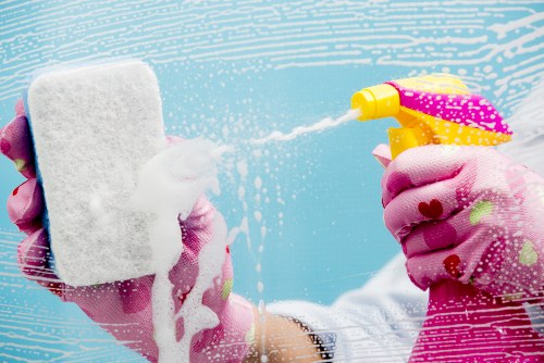 Detailed carpet cleaning process by Southfields carpet cleaners