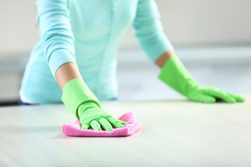 Expert rug care and stain removal in Southfields