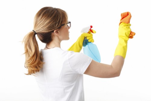 Professional hot water extraction cleaning a carpet in Southfields