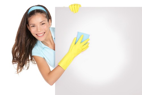 Enzyme cleaning process for pet stain odour removal in Southfields