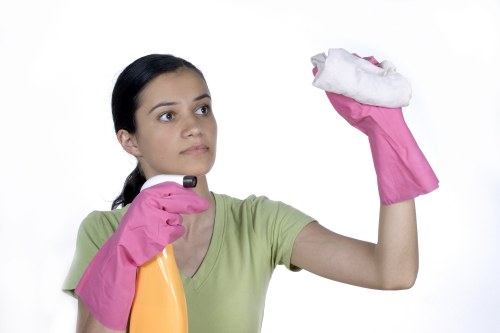 Carpet cleaner assessing service issue notes
