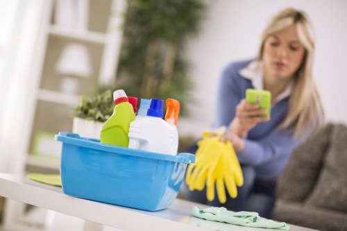 Deep cleaning equipment used for removing pet odours in Southfields homes