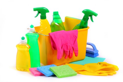 Deep carpet cleaning equipment used in a Southfields home